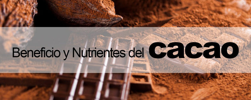Beneficios y Nutrientes del Cacao - Lodoro Perfumes y Lentes