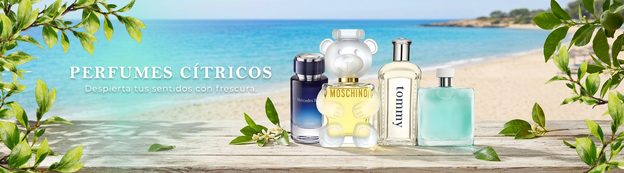 Perfumes Citricos
