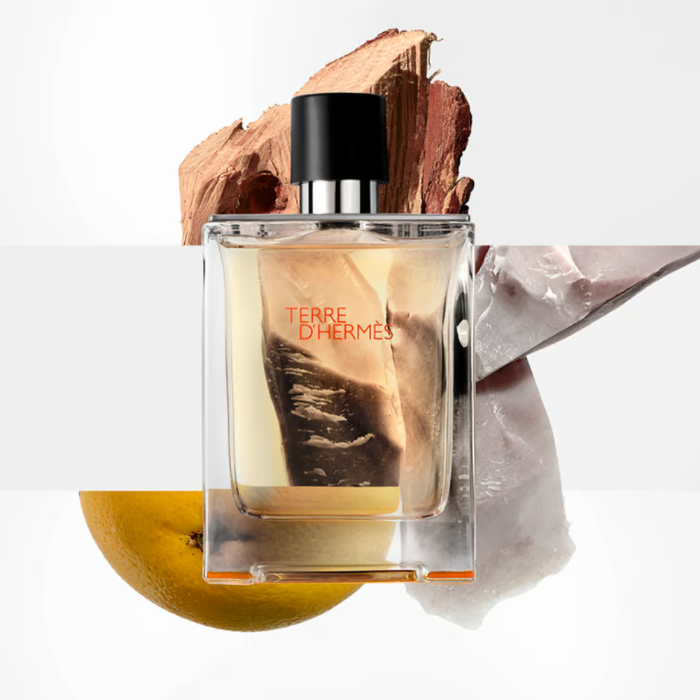 Hermes Terre De Hermes EDT 100 Ml Hombre | Lodoro Perfumes